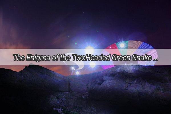 The Enigma of the TwoHeaded Green Snake A Dream That Unfurls Hidden Meanings